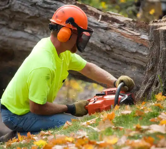 tree services Kirkersville